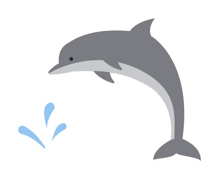 dolphin colored icon illustration design art
