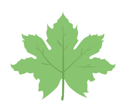 recommend clip art: Maple Leaf colored icon illustration design art
