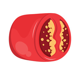 poblano chilli pepper half