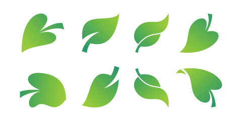a collection of green leaves on a white background