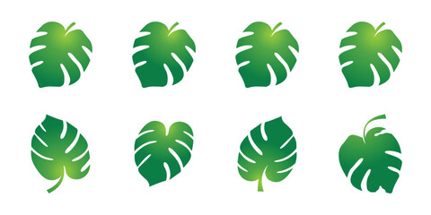 green leaf vector, Monstera tropical plant icon.