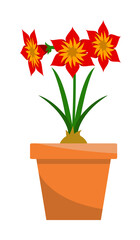 Spring colorful flowers in pots