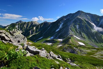 Fototapeta na wymiar 夏の立山連峰 ハイキング