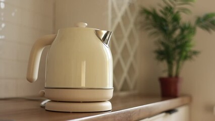 Stylish white electric kettle is boiling water with steam for hot drinks on wooden table top against background of green houseplant in pot in kitchen.Concept of coffee or tea break. Healthy lifestyle.
