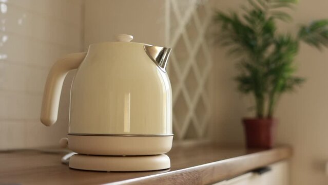 Stylish White Electric Kettle Is Boiling Water With Steam For Hot Drinks On Wooden Table Top Against Background Of Green Houseplant In Pot In Kitchen.Concept Of Coffee Or Tea Break. Healthy Lifestyle.