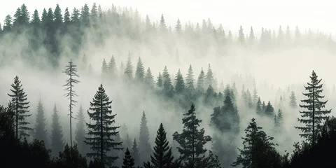 Papier Peint photo Forêt dans le brouillard misty morning in the pine forest, generative ai