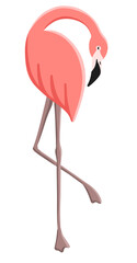 Illustration of a pink flamingo, isolated element for stickers, decoration