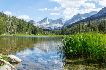 Lakes, streams, forests, wildflowers, fields, and other wilderness seen throughout the eastern sierra mountains in California. Pictures taken hiking in Mammoth, Bishop, and lone pine, California.