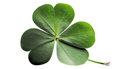 isolated four leaf green clover, png, transparent background, spring, summer, St. Patrick's Day, St. Paddy's Day, vertical, horizontal, close up, leaves, Generative AI