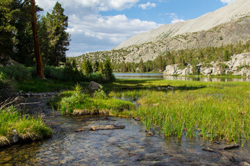 Fototapeta na wymiar Lakes, streams, forests, wildflowers, fields, and other wilderness seen throughout the eastern sierra mountains in California. Pictures taken hiking in Mammoth, Bishop, and lone pine, California.
