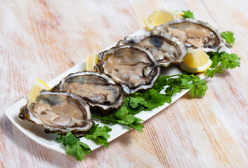 Seafood delicacy, fresh oysters garnished with lemon and parsley