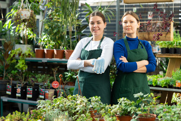 in flower shop, friendly women seller wait for customers to help pick up undemanding plant