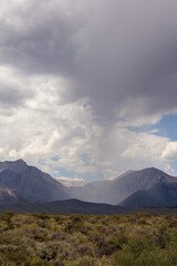 Lakes, streams, forests, wildflowers, fields, and other wilderness seen throughout the eastern sierra mountains in California. Pictures taken hiking in Mammoth, Bishop, and lone pine, California.