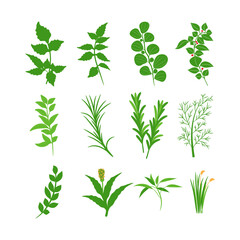 Herbal Health Green plant vector collection