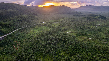 Jungle and Mountains