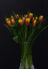 bouquet of red-yellow tulips on a dark background2