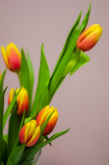 bouquet of red-yellow tulips on a light background 3