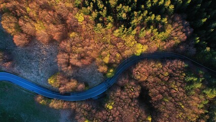 Aerial road: Scenic curvy road seen from a drone in autumn, view from above. Road in the forest. Road in the woods. Sassalbo, Emilia Romagna, Italy