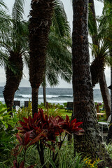 Ka’anapali Beach on a Stormy Day - Ka’anapali, Hawaii on Maui near Lahaina
- Also seen is...