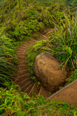 views hiking on the Wiliwilinui Ridge Trail in Honolulu, Hawaii. On the Oahu Island.