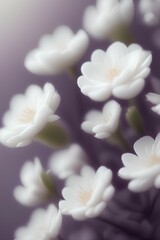 Obraz premium White flowers background. White leaves texture macro. soft dreamy image - generative ai