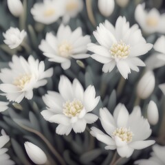 White flowers background. White leaves texture macro. soft dreamy image - generative ai