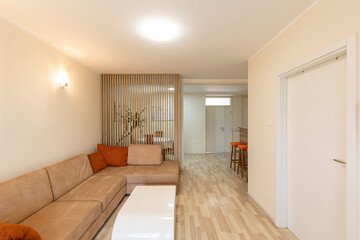 Interior of an apartment living room with furniture