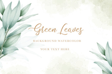 elegant eucalyptus leaves background design  
