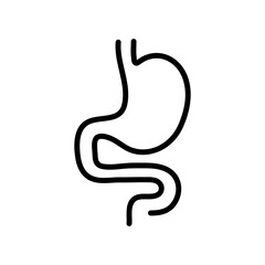 Stomach Icon Symbol trendy style illustration on white background