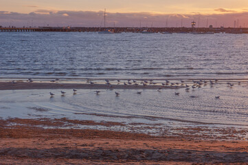 melbourne australia nature landscape 