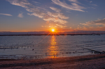 melbourne australia nature landscape 