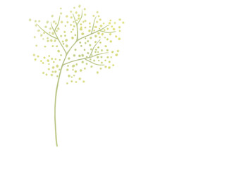 Wild flower illustration 