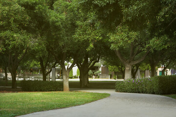 Fototapeta na wymiar Beautiful view of green park with pathway
