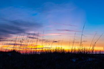 Tall Grass Silhouettes on colorful twilight sky