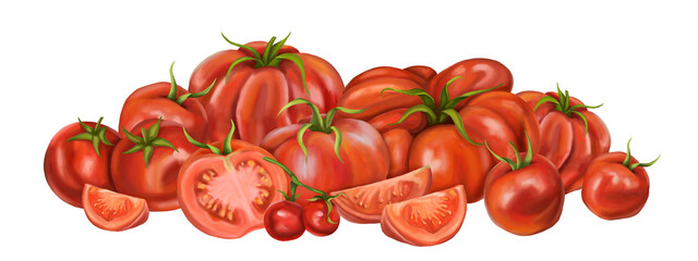 A large composition of red ripe tomatoes of different varieties. Slices, halves, cherry tomatoes. Digital illustration on a white background. For packaging design, postcards, prints, textiles