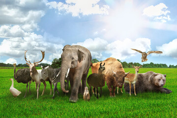 Many different animals on green grass under blue sky