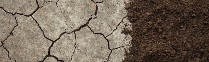 Dry cracked ground and fertile soil, banner design