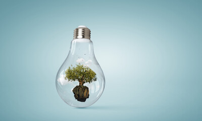 Tree growing inside light bulb