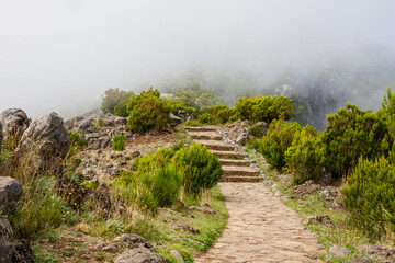 Fototapeta na wymiar Tourist path through the green mountain plants and cloudy fog, the road to the peak of Madeira island, Portugal
