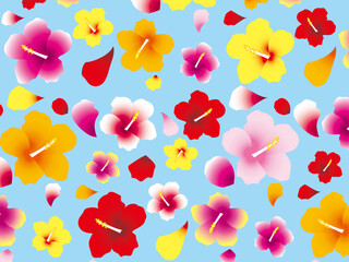 ハイビスカスB1-15