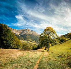 Obraz premium road in the mountains