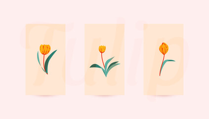 Tulip flower aesthetic art deco. Tulip wallpaper for social media.