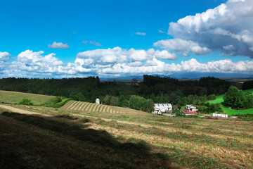 Obraz premium 美瑛町