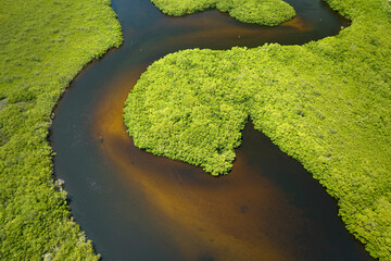 Aerial view of Florida wetlands with green vegetation between ocean water inlets. Natural habitat...
