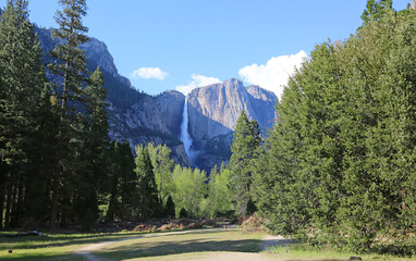 View at Yosemite Fall from the forest - Yosemite National Park, California