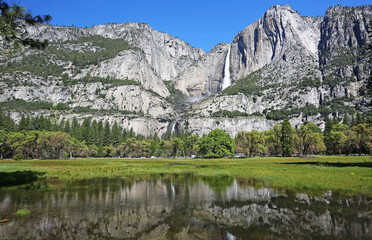 Naklejka na ściany i meble Yosemite Falls and Cooks Meadow - Yosemite National Park, California