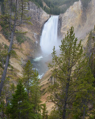 Waterfall rushing down Grand Canyon of the Yellowstone National Park. Vertical format.
