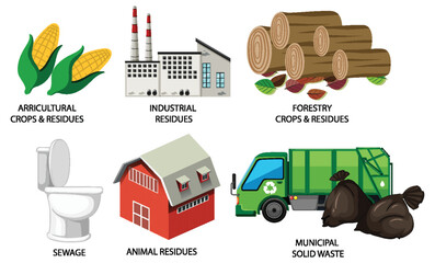 Many Forms of Biomass Energy