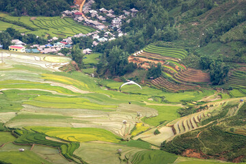 Fototapeta premium Parachute jumpers perform during the Paragliding festival. The annual paragliding festival is held in Mu Cang Chai, Vietnam
