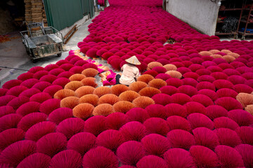 Traditional village workers of Ung Hoa incense are doing the incense drying process. This is a famous craft incense mak